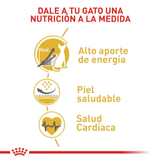 FBN SPHYNX - NUTRICION A LA MEDIDA.png